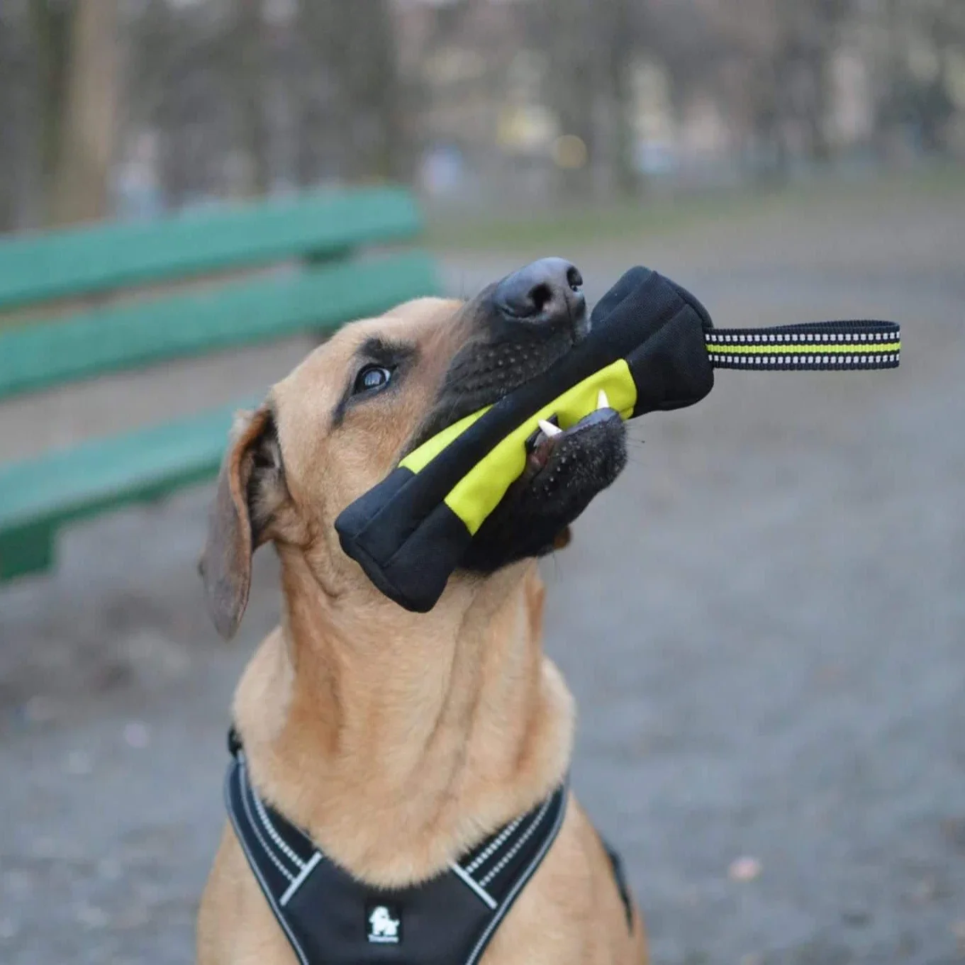 Truelove Dog Training Retrieve - Food Storage Reusable Bags recension och pris