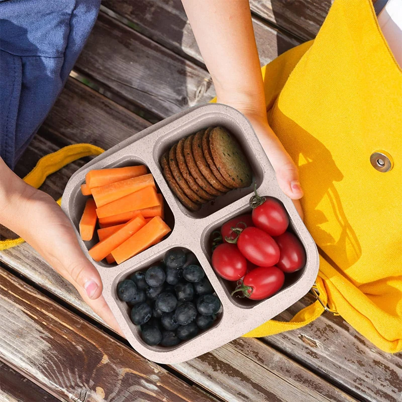 4 Grids Food Storage Box Porta - Food Storage For Refrigerator recension och pris