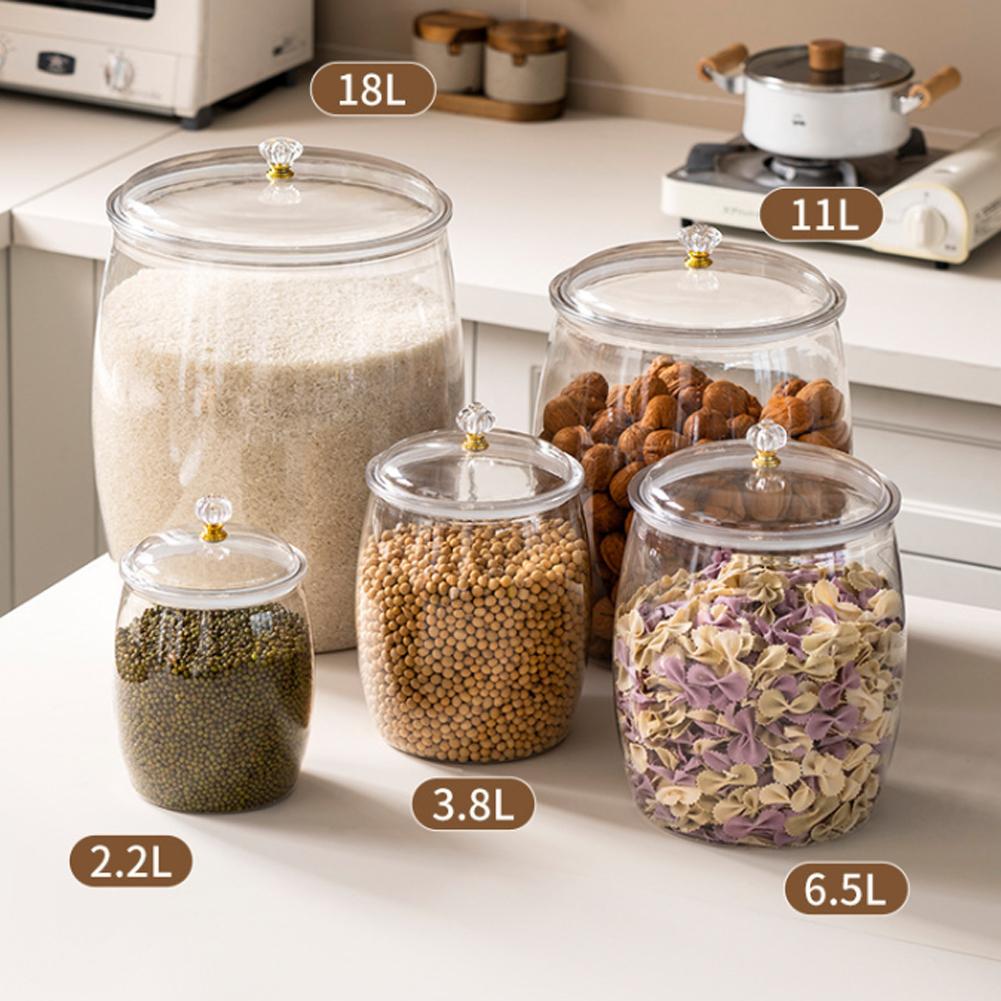 Large Transparent Plastic Seal - Food Storage Plastic Container recension och pris