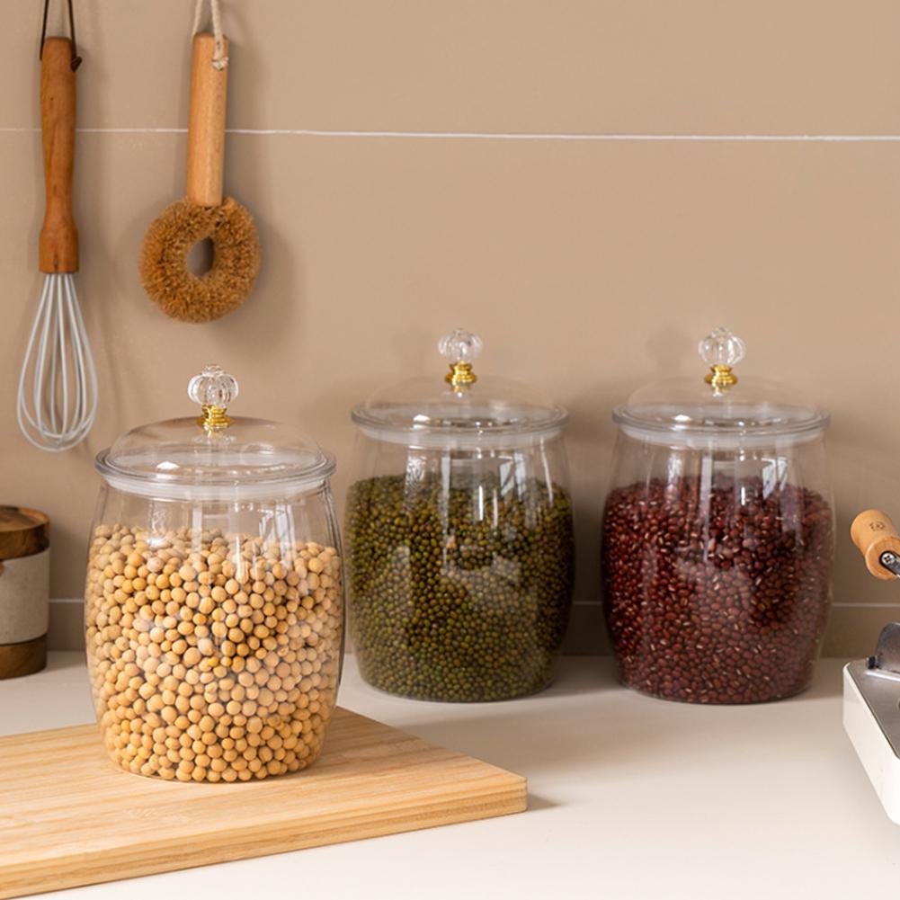 Large Transparent Plastic Seal - Food Storage Plastic Container recension och pris