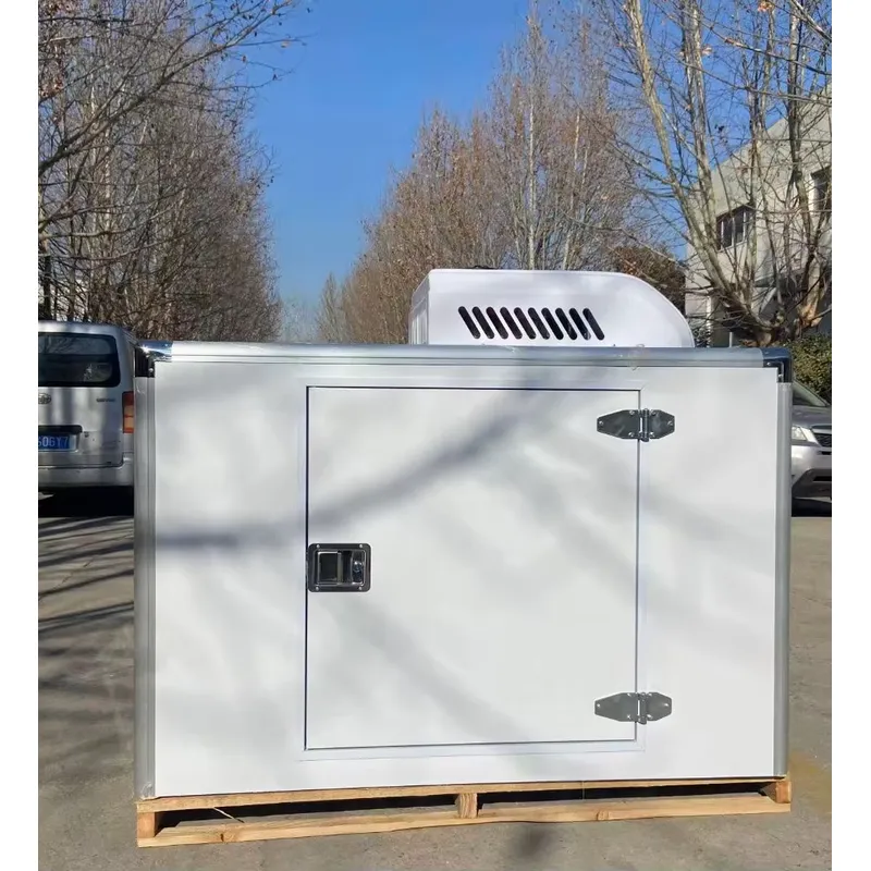 Hot Sale Tricycle Refrigerated - Food Storage For Refrigerator recension och pris