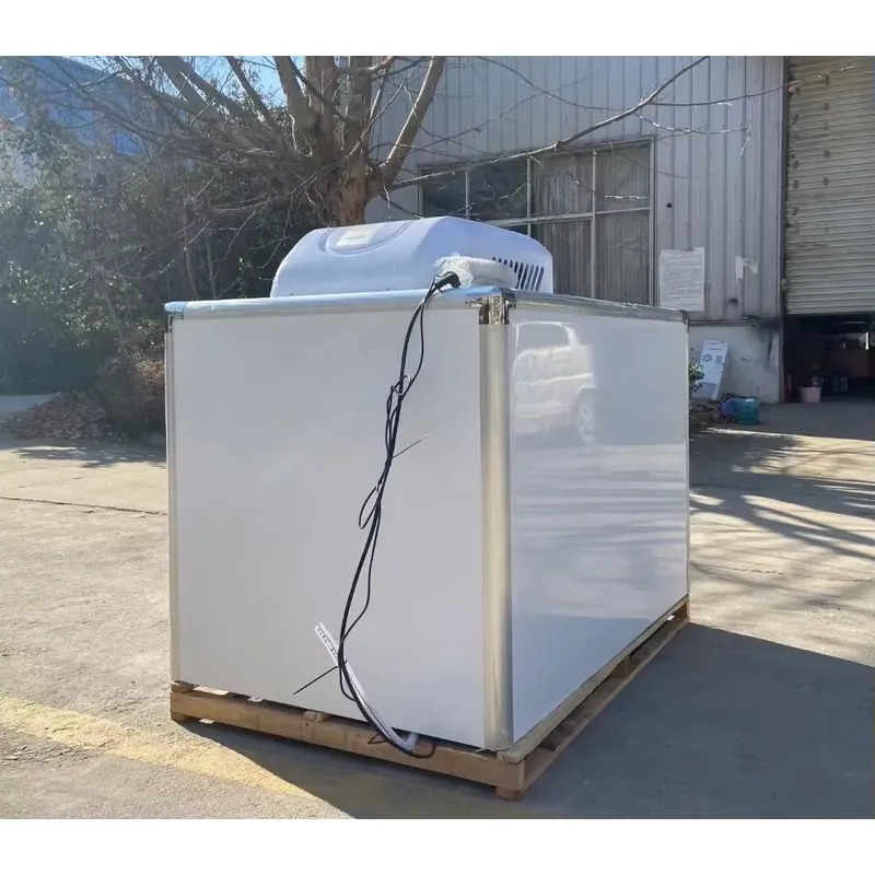 Hot Sale Tricycle Refrigerated - Food Storage For Refrigerator recension och pris